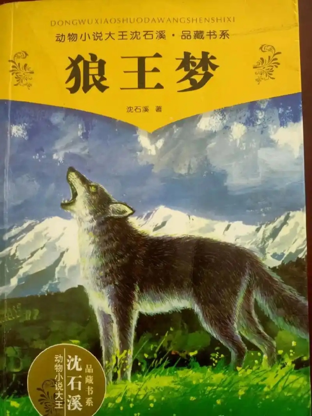 《狼王梦》