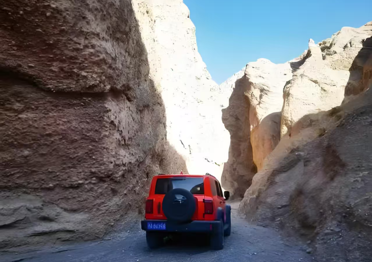 1774058965479689.png 1774058965479689.png